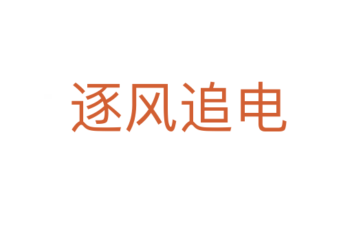 逐风追电