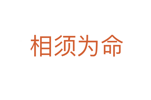 相须为命