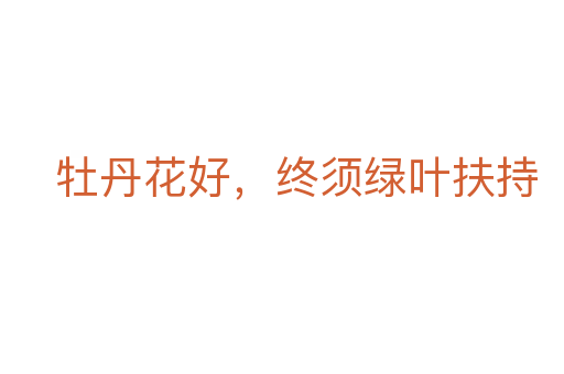 牡丹花好,终须绿叶扶持
