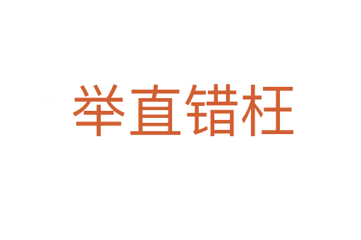 举直错枉