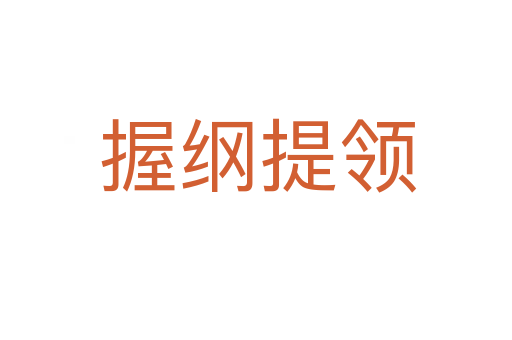 握纲提领