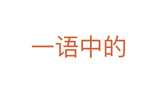 一语中的