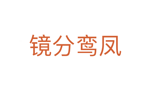 镜分鸾凤
