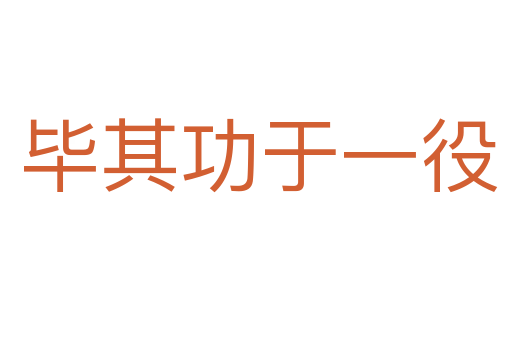 毕其功于一役