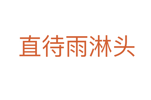 直待雨淋头