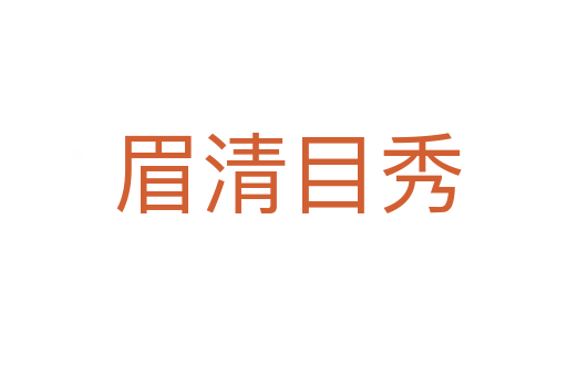 眉清目秀