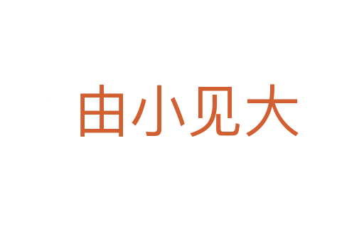 由小见大