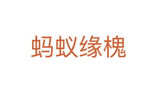 蚂蚁缘槐