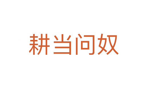 耕当问奴