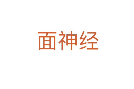 面神经