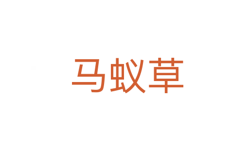 马蚁草
