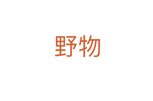 野物