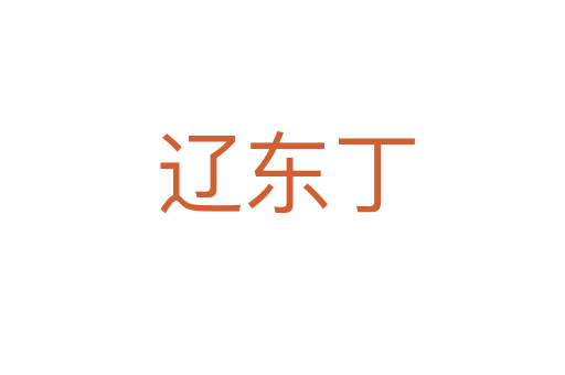 辽东丁
