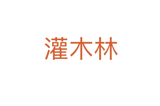 灌木林