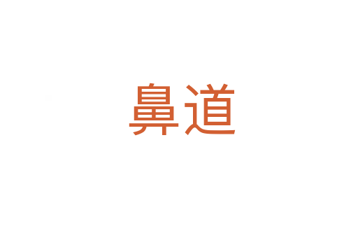 鼻道