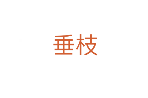 垂枝