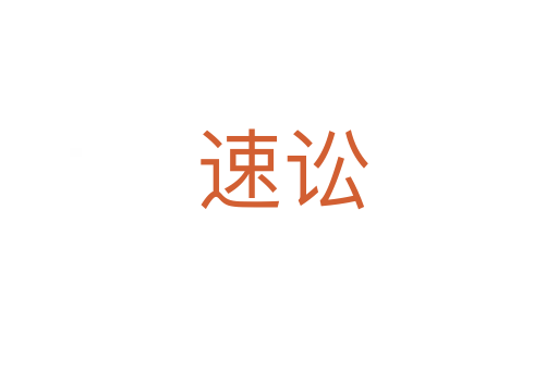 速讼