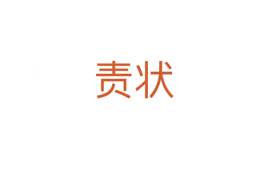 责状