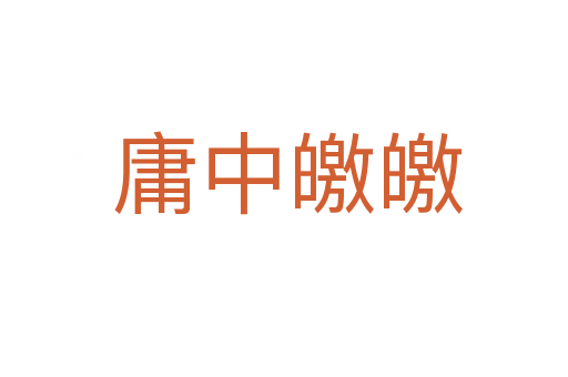 庸中皦皦