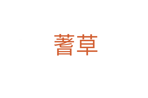 蓍草