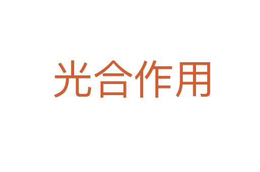 光合作用