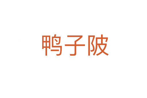 鸭子陂