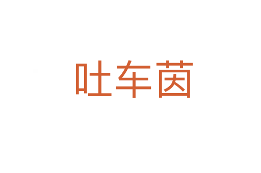 吐车茵