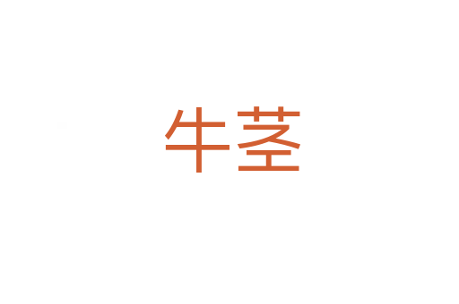 牛茎