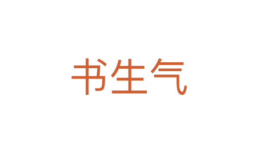 书生气