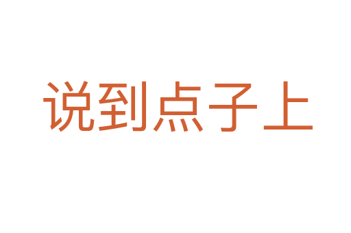 说到点子上