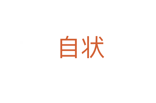 自状