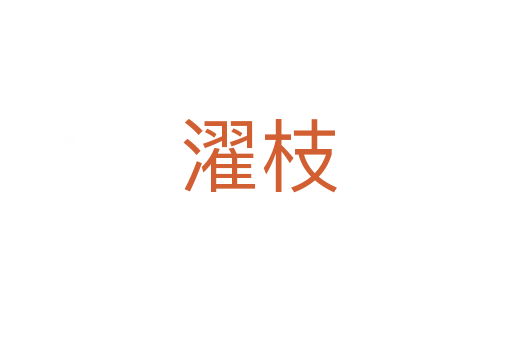 濯枝