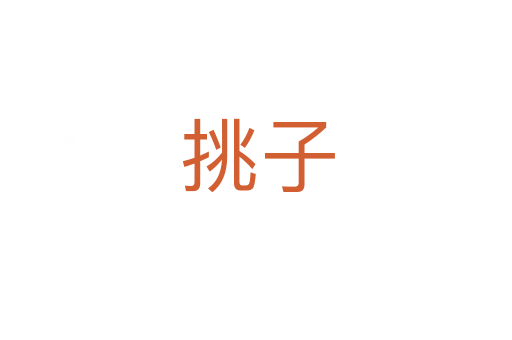 挑子