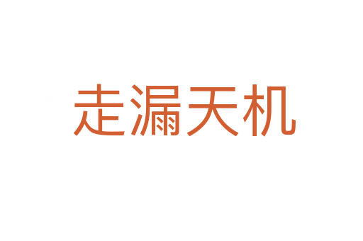 走漏天机