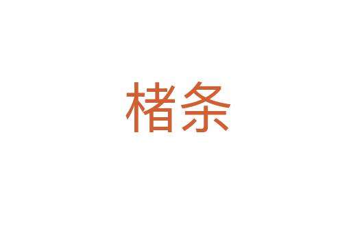 楮条