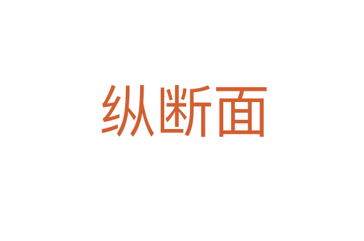 纵断面