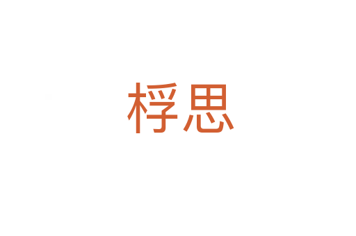 桴思