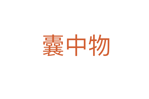 囊中物