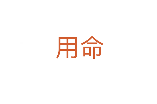 用命