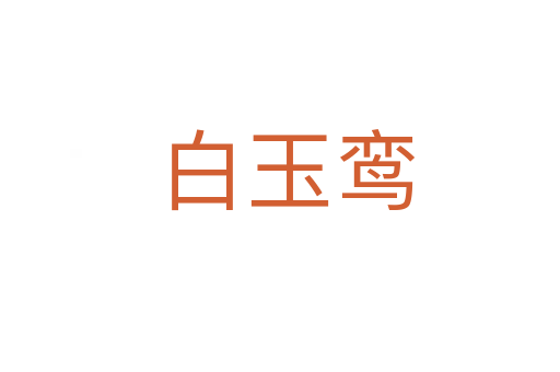 白玉鸾