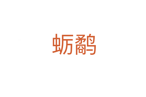 蛎鹬