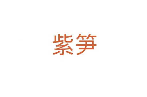 紫笋