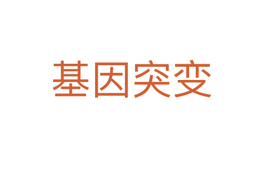 基因突变