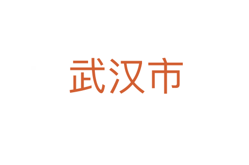 武汉市