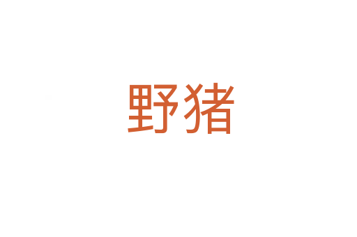 野猪