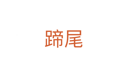 蹄尾