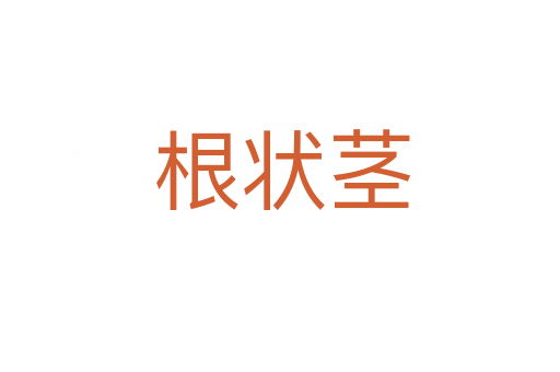 根状茎