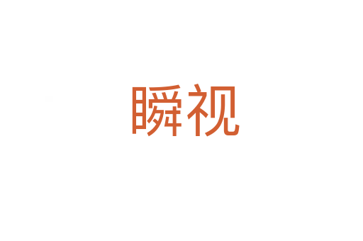 瞬视