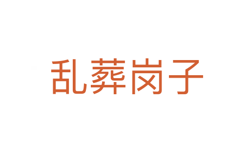 乱葬岗子
