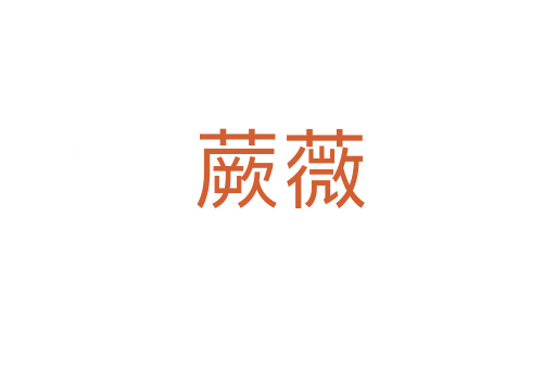 蕨薇
